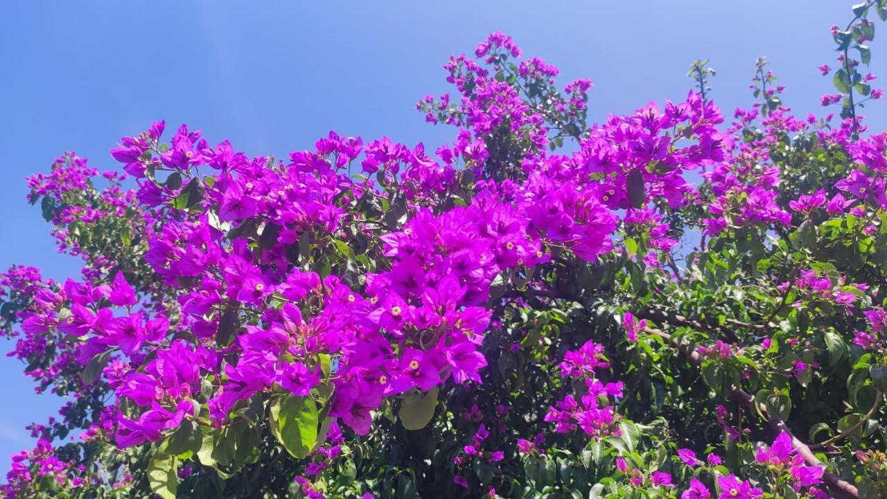 Willa Casa Mirabilis 44 Ostuni Zewnętrze zdjęcie